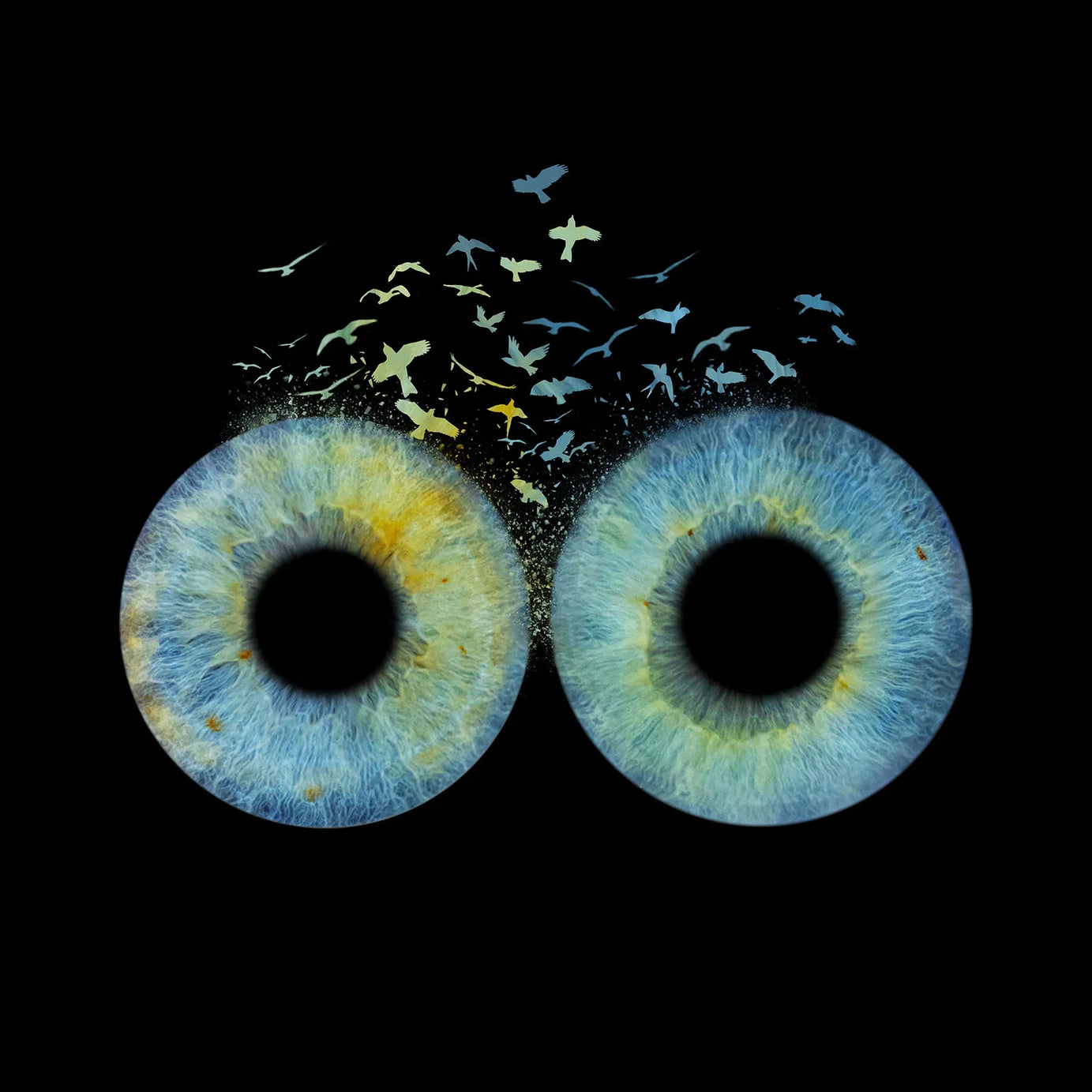 SnapEyes - SnapEyes